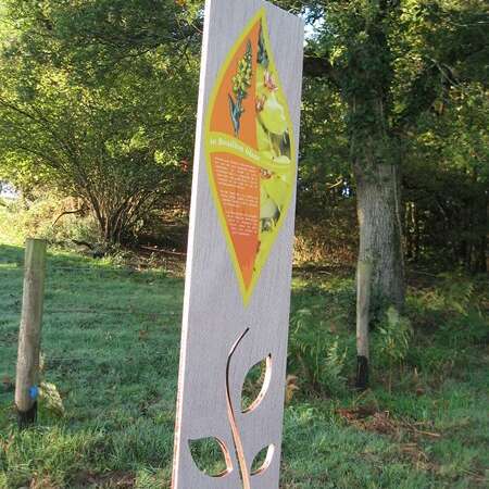 PARCOURS FAMILLE MURMURES DE ROCHERS « LE PETIT BOTANISTE »