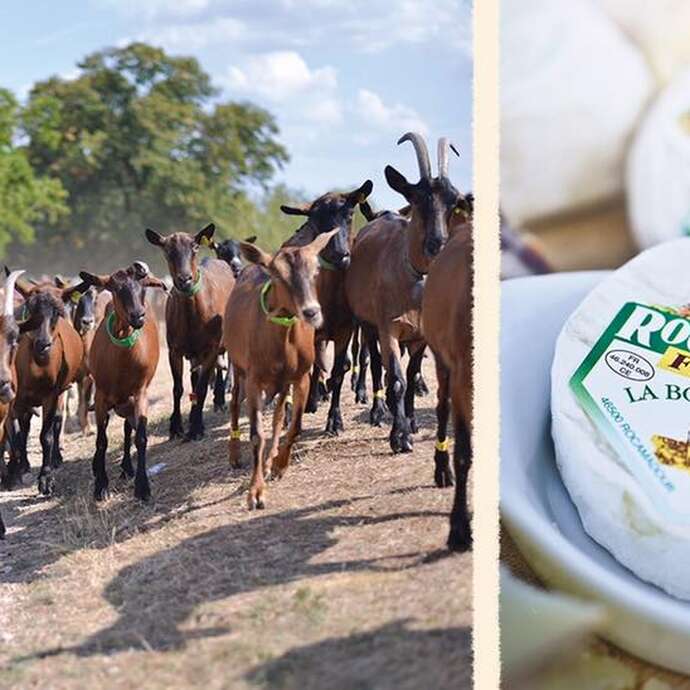 Fermes en fête à la Borie d'Imbert