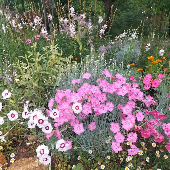 Les Rendez-vous aux Jardins: le jardin des Folioles à Prayssac