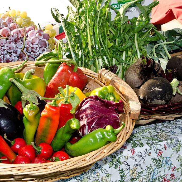 Petit marché de producteurs à Touzac