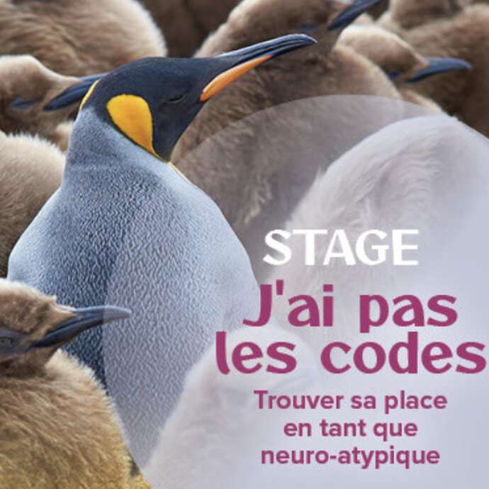 Stage à l'Atelier sous les Chênes -  J'ai pas les codes, trouver sa place en tant que neuro-atypique
Avec Christelle Petitcollin