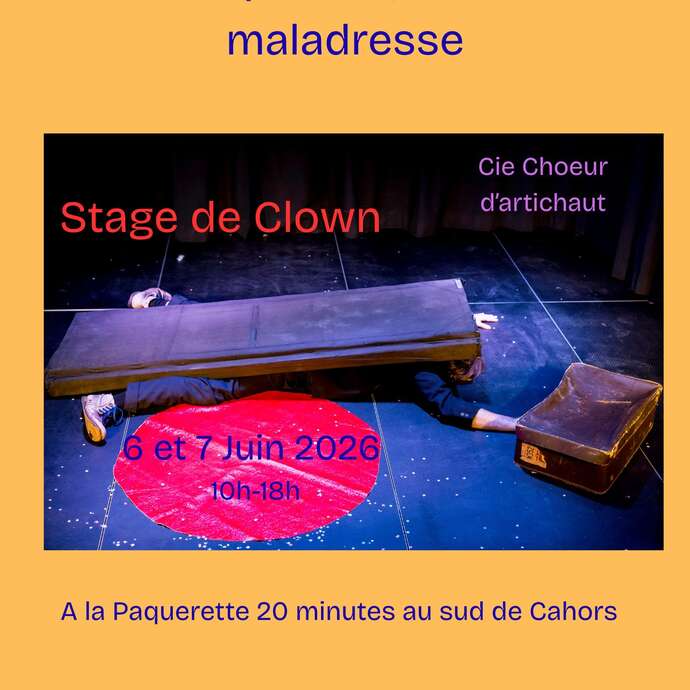 Stage de clown