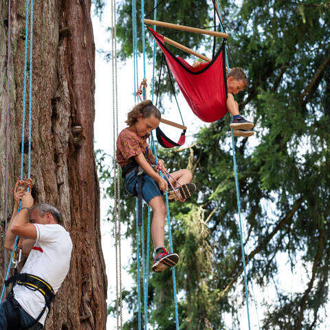 Atelier initiation à la "grimpe d'arbre"