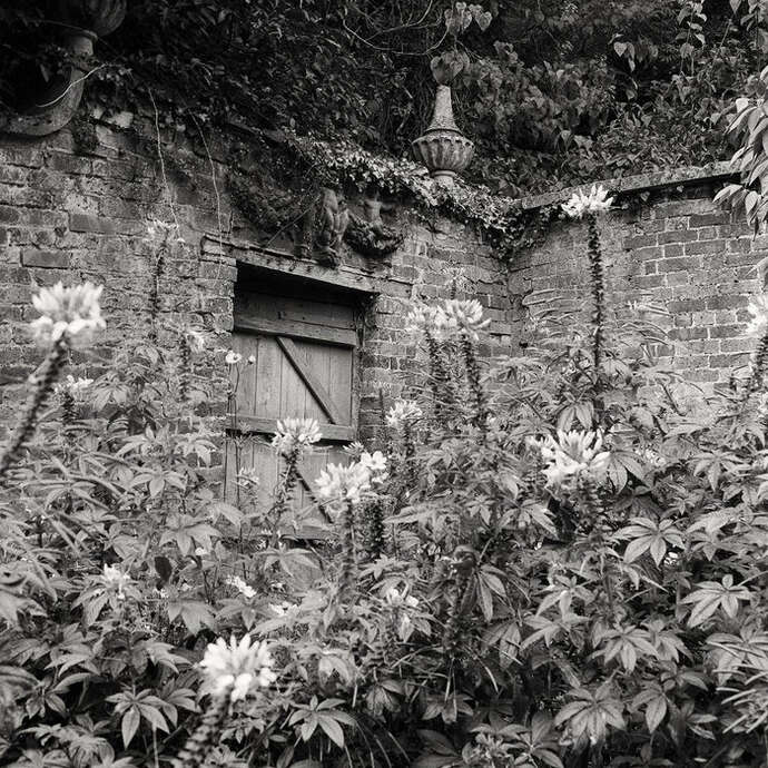 Exposition photographique "Secret Gardens" chez Livres Books & Co