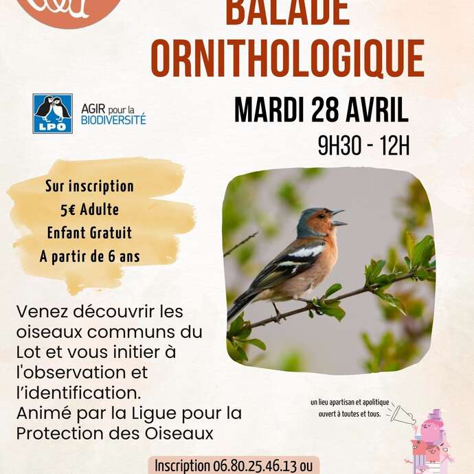 Balade ornithologique au 3ème Lieu