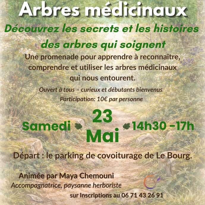 Balade nature : arbres médicinaux à le Bourg