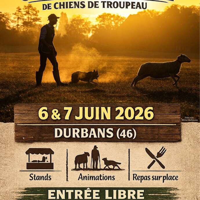 Sélectif, championnat d'Europe de chiens de troupeau, à Durbans