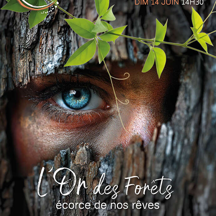 Spectacle de danse "L'Or des Forêts, écorce de nos rêves"