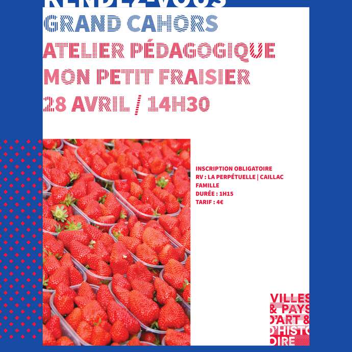 Animation pédagogique : Mon petit fraisier