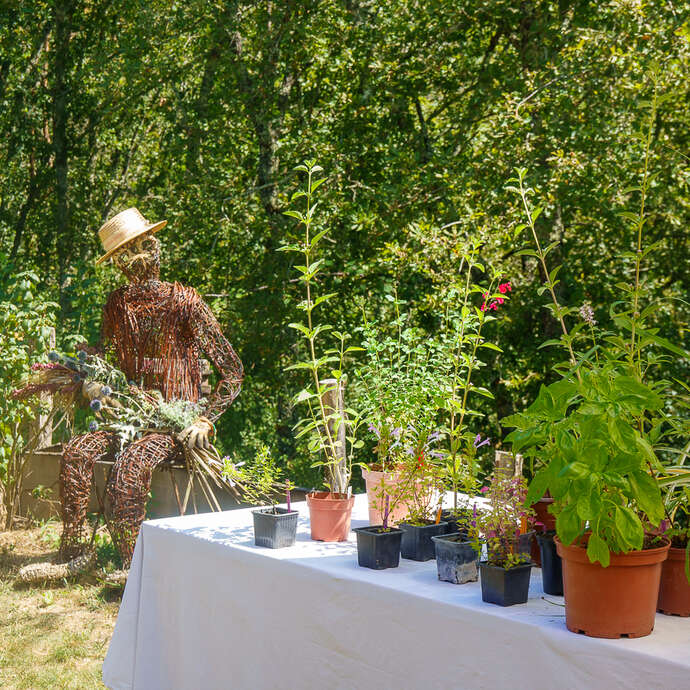 Allées ouvertes au Jardin Bourian