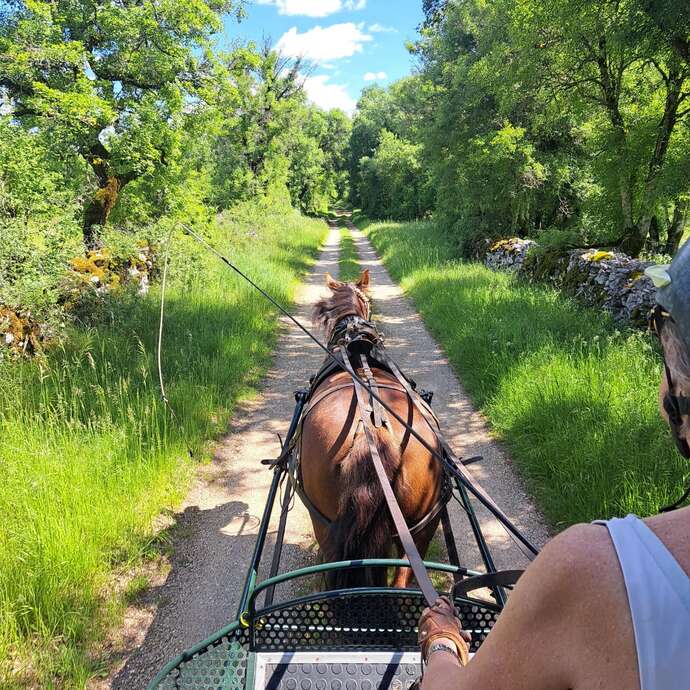 Challenge Kalapca Loisirs - balades en calèche