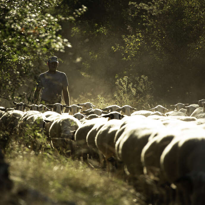 Balade sur le sentier de la brebis à Espédaillac