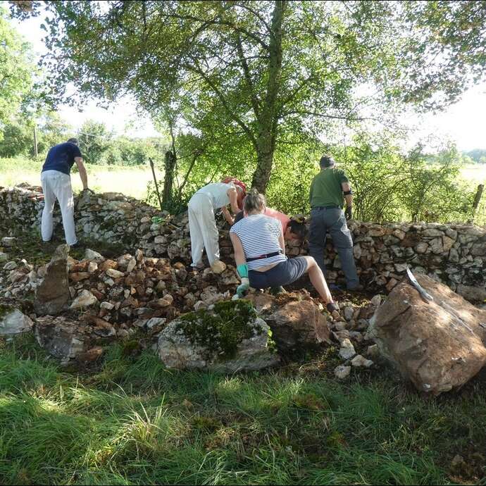 Initiation à la réfection de murets en pierre sèche