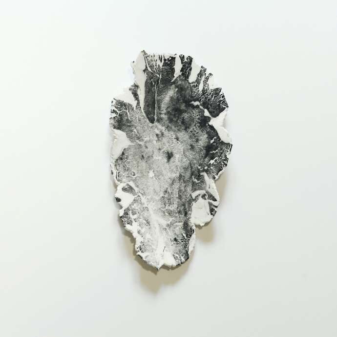 Exposition "Affinités Biomorphiques" - Art Contemporain