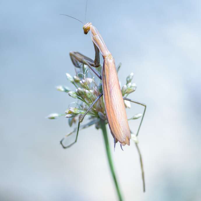 Parcours Photographiques