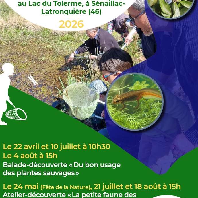 Balade-découverte "Du bon usage des plantes sauvages"  au lac du Tolerme