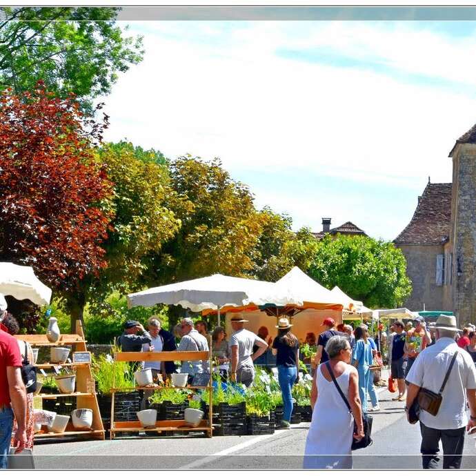 Fête des plantes rares et de collections