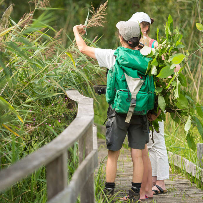 "Deux réserves naturelles, deux voix en chœur au marais de Bonnefont"