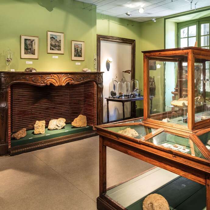 Visite Famille : l’étrange cabinet de curiosité du musée d’Histoire de Figeac