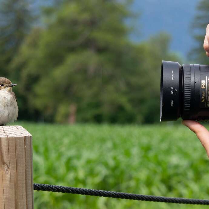 ! COMPLET ! Stage de photographie animalière au Jardin Bourian ! COMPLET !