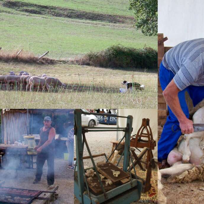 Fête de l'agneau
