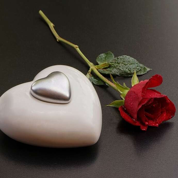 Dîner de la Saint-Valentin au Cazdals à Cazals