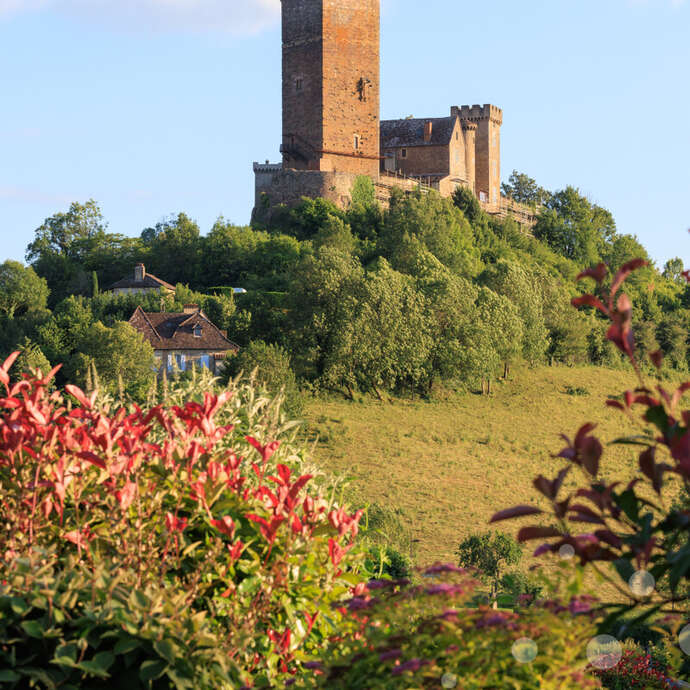 Visite Thématique "Histoire d'un Château millénaire"