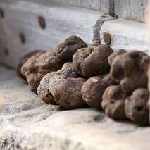 Marché aux truffes de Capdenac