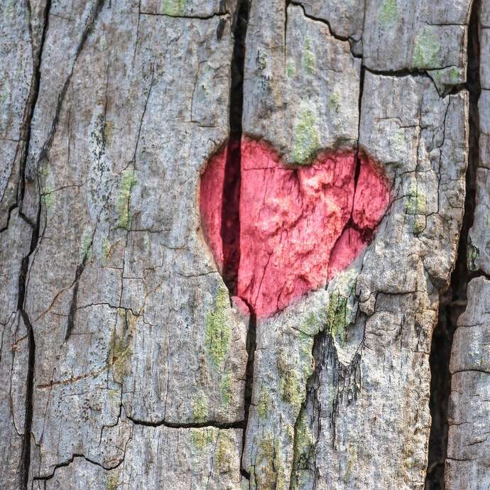 Repas de la Saint-Valentin à l'Évidence