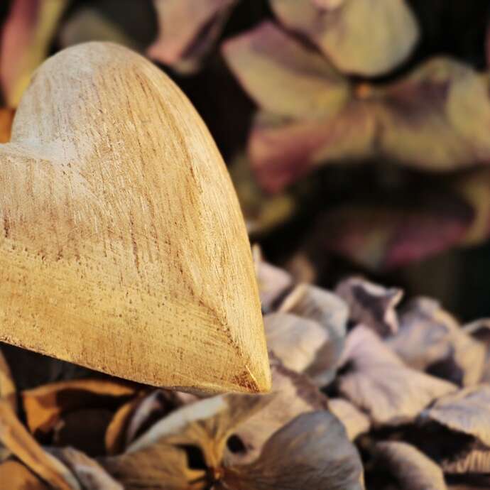 Dîner de la Saint-Valentin au Vigan, le Péché mignon