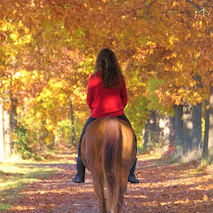 Randonnée équestre au Gascou avec l'ARET
