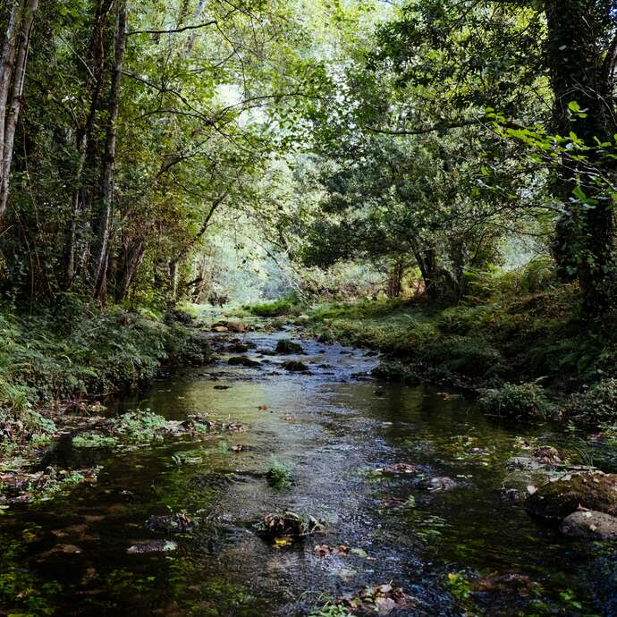 Atelier découverte "La petite faune aquatique de la Bave"