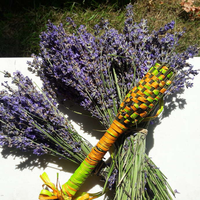 Fête de la lavande à Martel