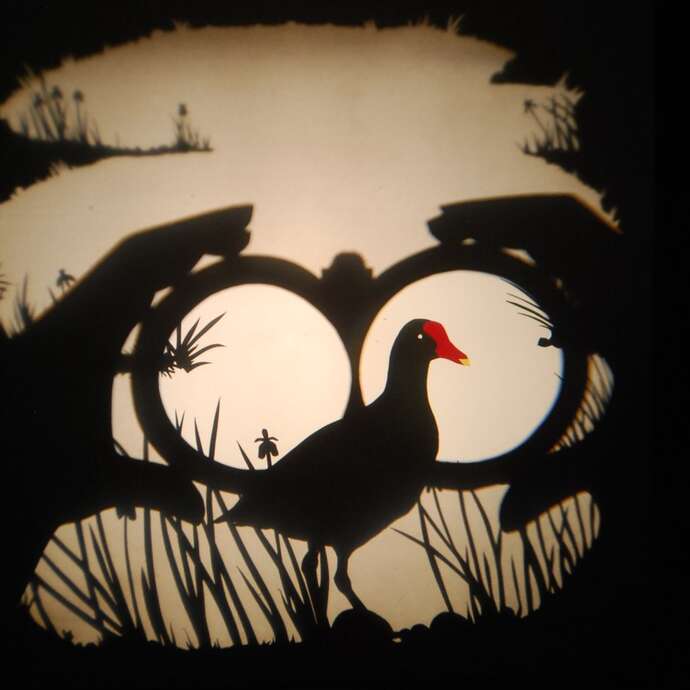 Théâtre de l'Usine - Volatile ombré