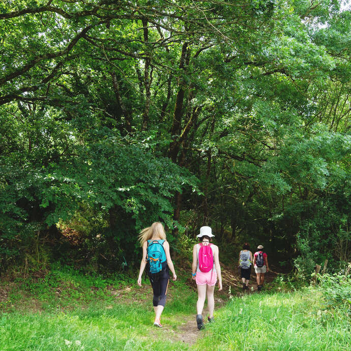 La vie sauvage du parc de Cordemais