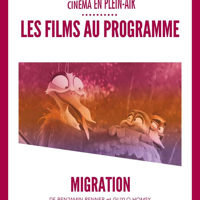 Cinéma en plein air - Pontmain: "Migration"