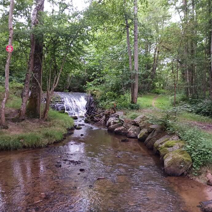 Balade pedagogique "Au fil de l'eau"