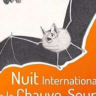 Nuit de la chauve-souris