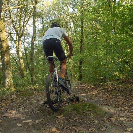 Tout terrain sur la corniche : Rando VTT