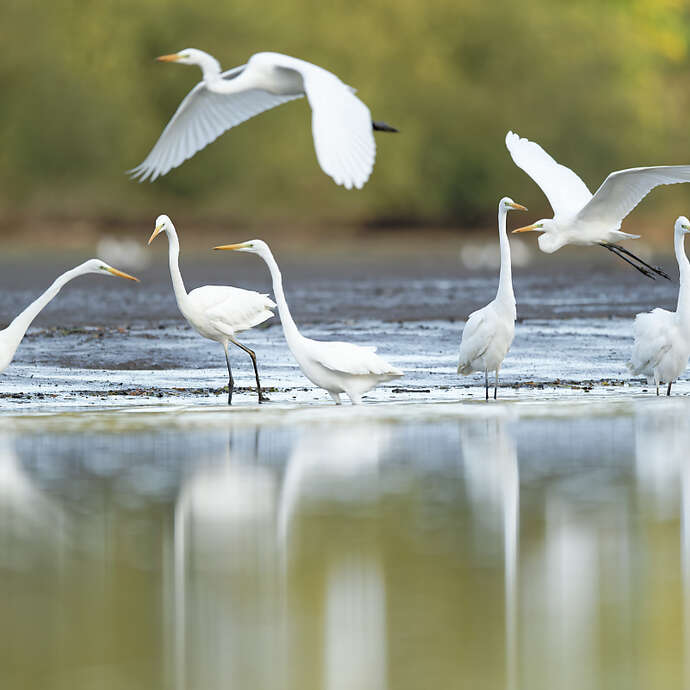 LE LAC ABAISSE