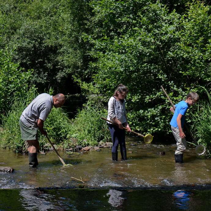 Petites bêtes des cours d'eau