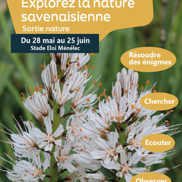 Rallye nature