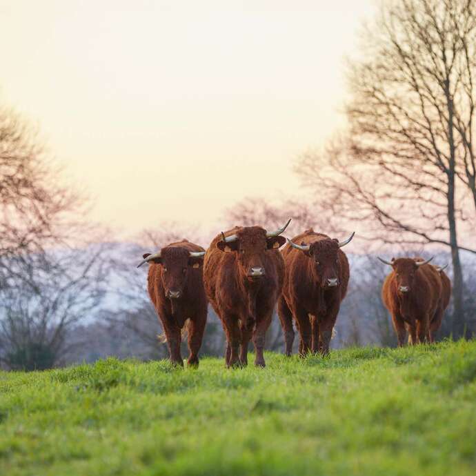 Visite de la ferme "A Tout Bout de Champ"