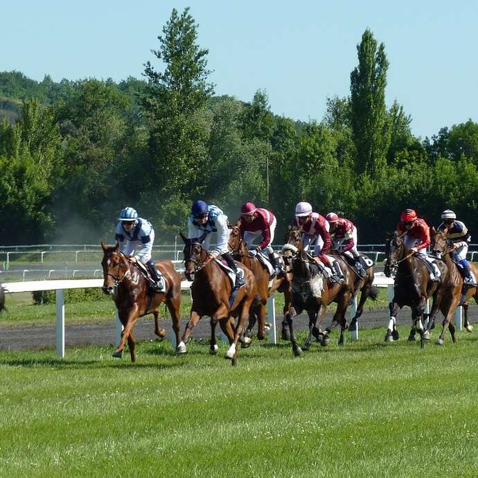Courses hippiques