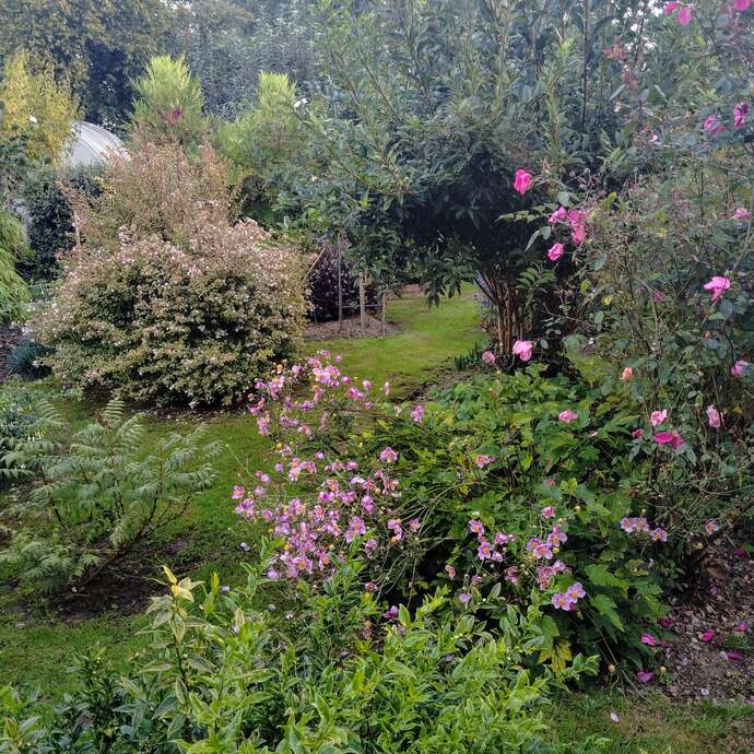 Visite d'un jardin en campagne