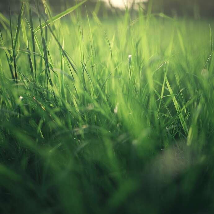 Balade nature sur l'évolution de nos paysages