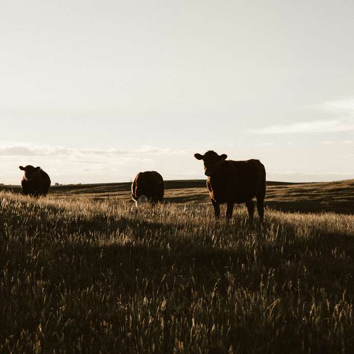 NATURE A LA FERME AVEC LE CPIE MAYENNE