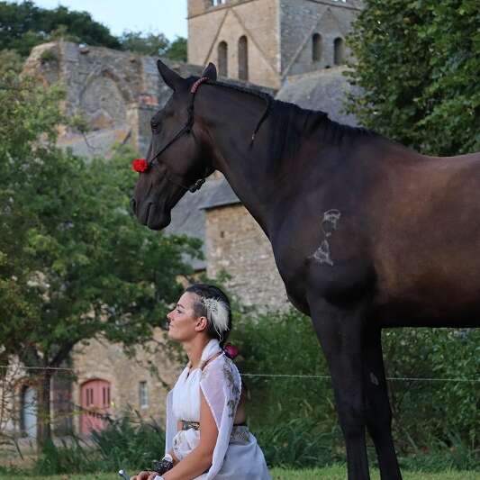 Sol et Mani : spectacle équestre et musical