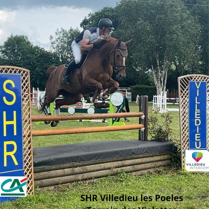 Concours hippique
