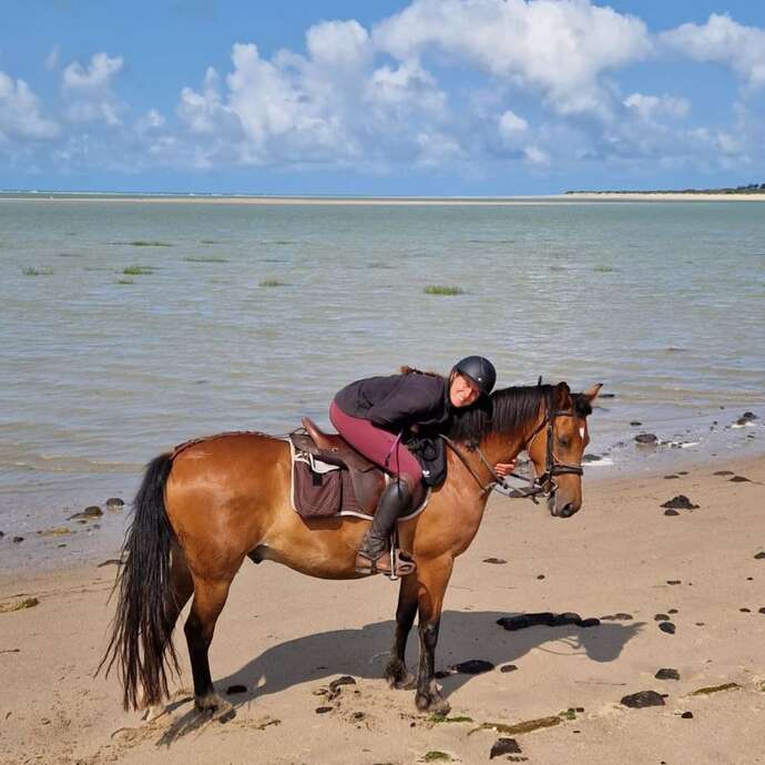 Randonnée à cheval 3 jours - Havre de la vanlée